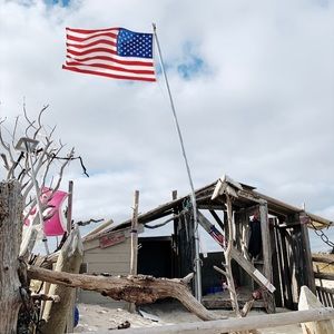 Meet your Posher, Lilly